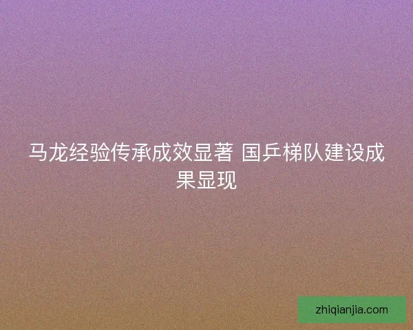 马龙经验传承成效显著 国乒梯队建设成果显现